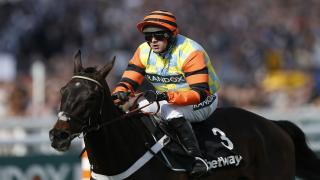 Might Bite is joint favourite for Gold Cup